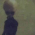 KЯrt